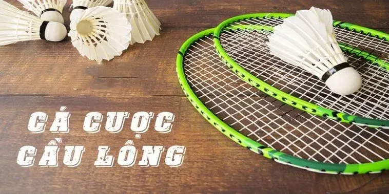 Hướng Dẫn Chơi Cá Cược Cầu Lông Tại Olybet: Kinh Nghiệm Và Bí Quyết